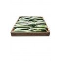 5 Kg Aloe Vera Fresh Leaves 10 years old
