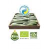 5 Kg Hojas Aloe Vera Ecologico Penca Zabila Canarias