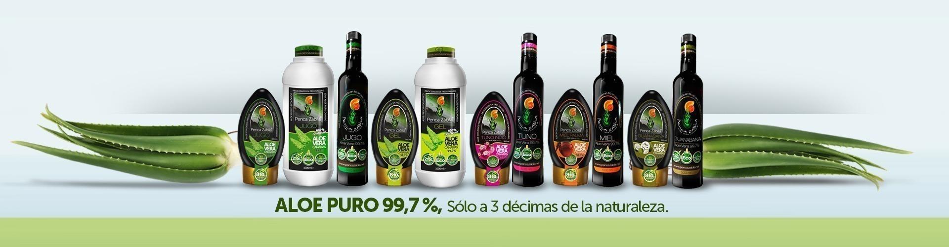 Aloe Vera Fresco Puro Ecologico de Canarias