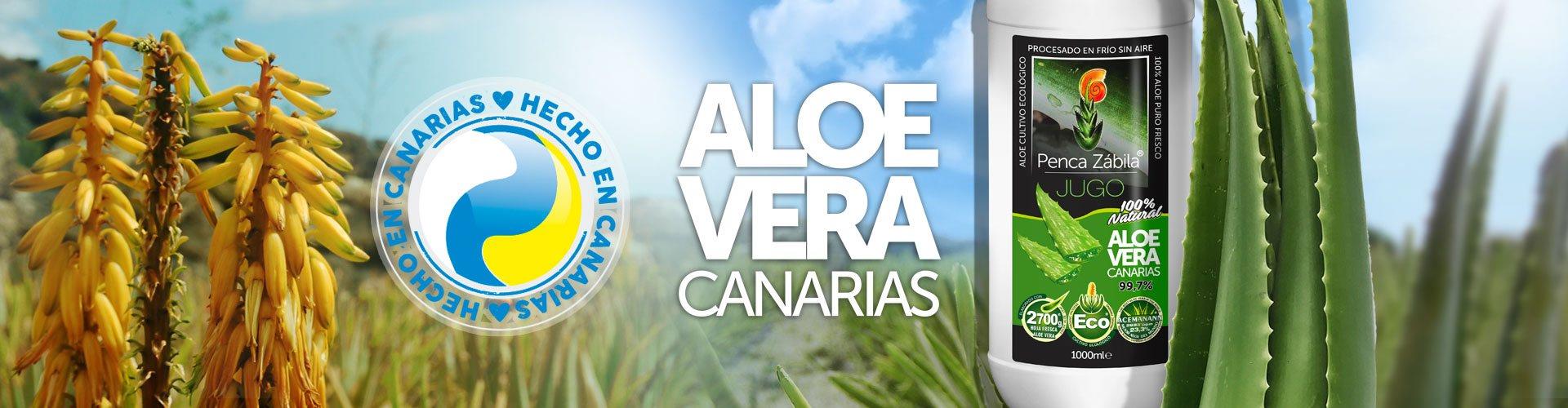 aloe vera juice organic pure fresh