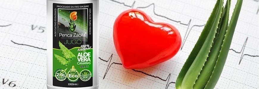 Aloe contra el Colesterol