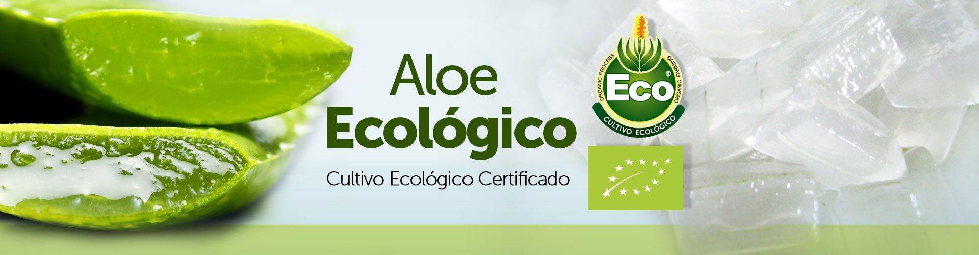 Aloe Vera Ecologico Puro