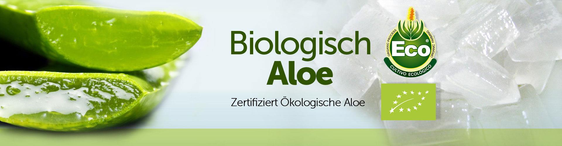 jugo de aloe vera