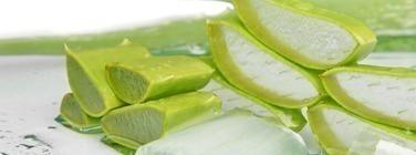 Aloe Vera Gel Juice Fresh Pure