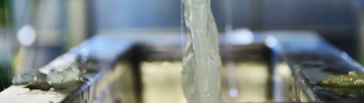 Fabrica aloe Penca Zabila