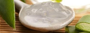 Gel Aloe Vera Penca Zabila