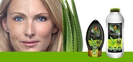 Beneficios Gel Aloe Vera Canarias Penca Zabila