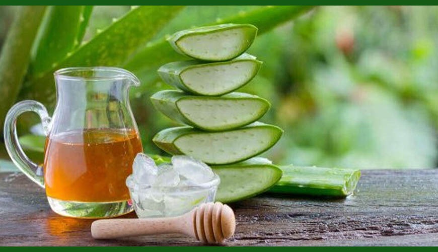 Discover the benefits and properties of aloe vera juice | Penca Zbila