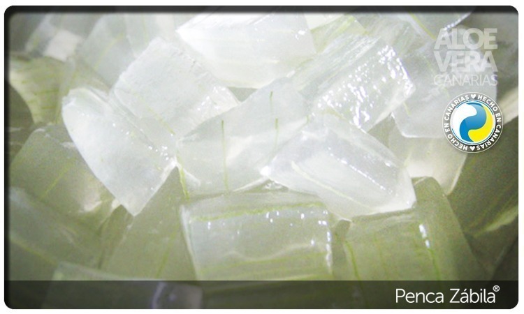 Aloe Pure Gel Fresh