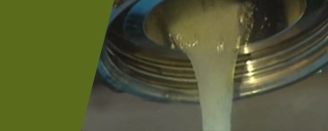 aloe vera gel factory pencazabila
