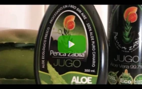 Aloe Vera Juice Penca Zábila