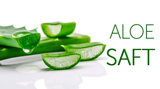 Rein natürlicher frischer Aloe-Saft