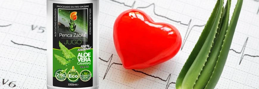 Aloe Vera wirkt gegen Cholesterin