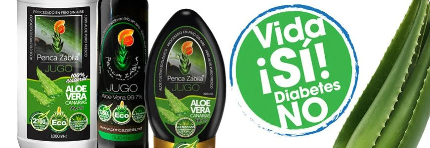 Aloe Vera gegen Diabetes, senkt den Blutzucker