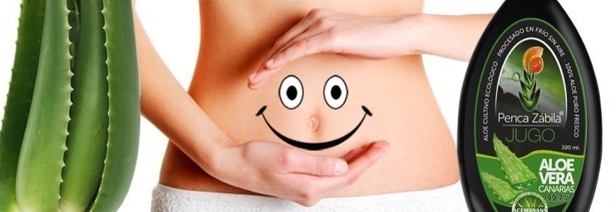 ALOE VERA wirksam gegen GASTRITIS, CROHN, ULCERS