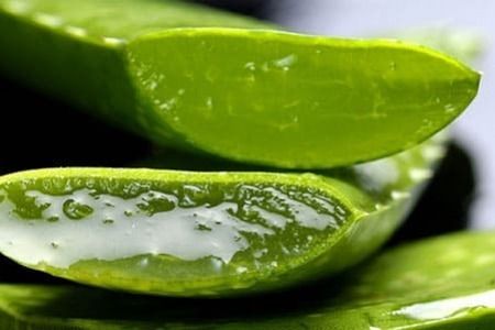 sirop d'agave ou miel Sirop d'Agave Bio - la miellerie