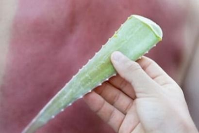 La relación entre las quemaduras y el aloe vera