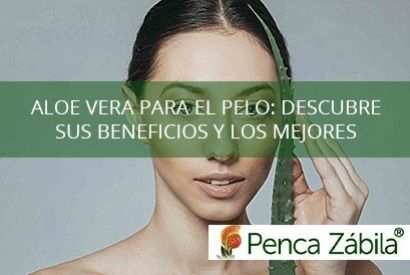 Aloe vera para el pelo: Descubre sus beneficios y los mejores consejos