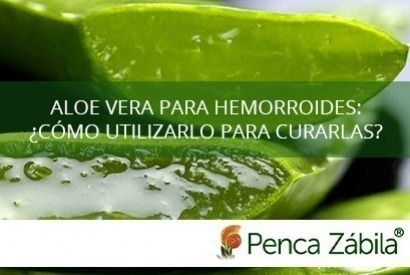 Aloe vera para hemorroides: ¿Cómo utilizarlo para curarlas?