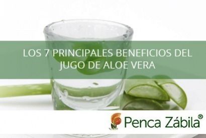 Los 7 principales beneficios del jugo de aloe vera