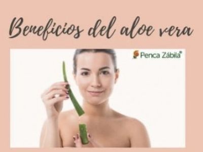 Tips y Beneficios del Aloe Vera en Belleza