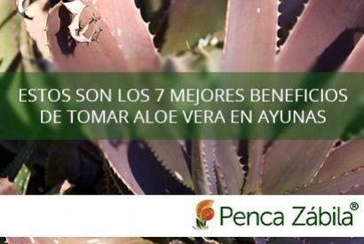  Estos son los 7 mejores beneficios de tomar aloe vera en ayunas