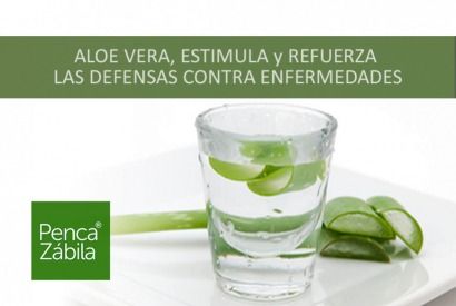 Aloe Vera Juice strengthens defenses. Against diseases