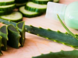 ¿Por qué el aloe vera es el mejor after sun?