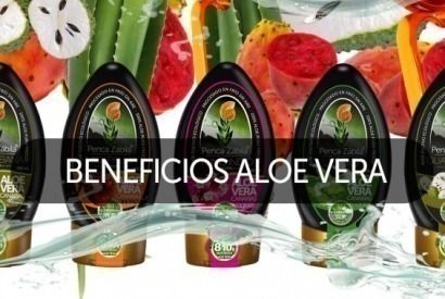 LOS BENEFICIOS DEL ALOE VERA PARA TU SALUD