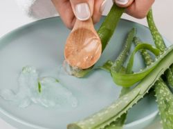 Aloe vera para picadura de medusa: un remedio natural 