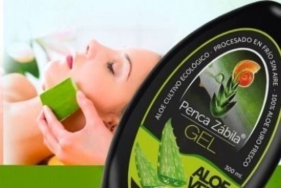 Echt frische, reine und natürliche Aloe Vera von den Kanarischen Inseln. Echt fr